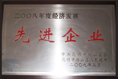 2008年度經(jīng)濟(jì)發(fā)展先進(jìn)企業(yè)