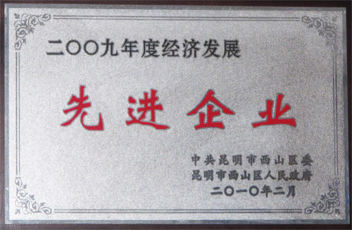 2009年度經(jīng)濟(jì)發(fā)展先進(jìn)企業(yè)